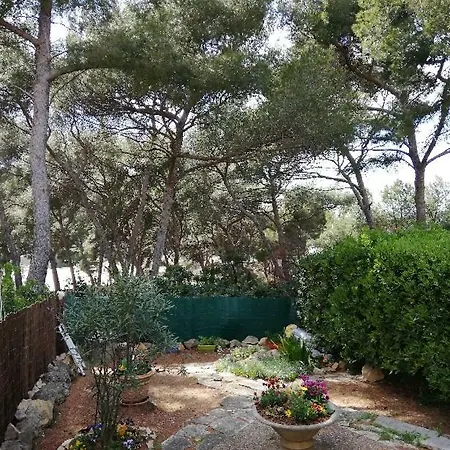 T2 Rez De Jardin 300m De Beaucours Sur Apartment